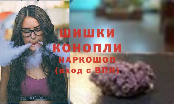 хмурый Вяземский