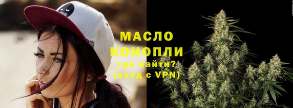хмурый Вяземский
