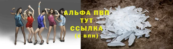 хмурый Вяземский
