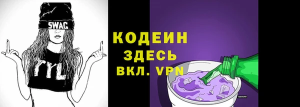 хмурый Вяземский