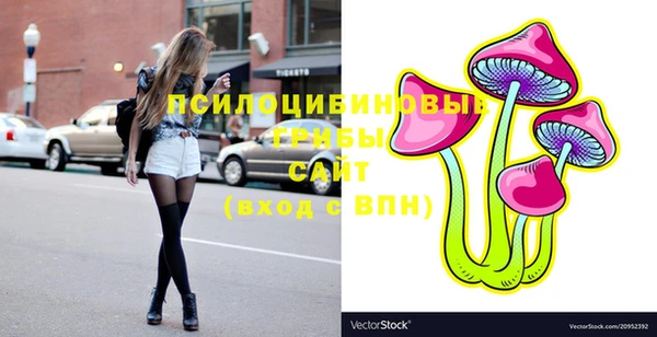 твердый Вязники